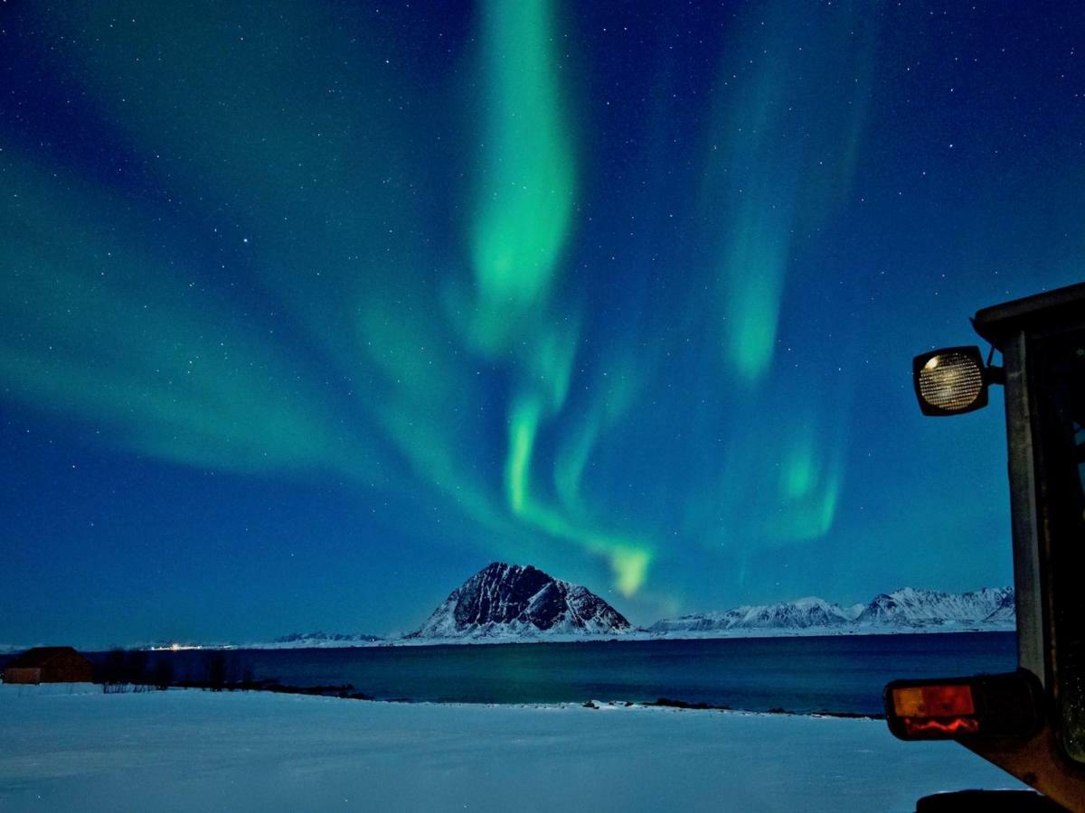 Elstad Farm Lofoten Bostad Экстерьер фото
